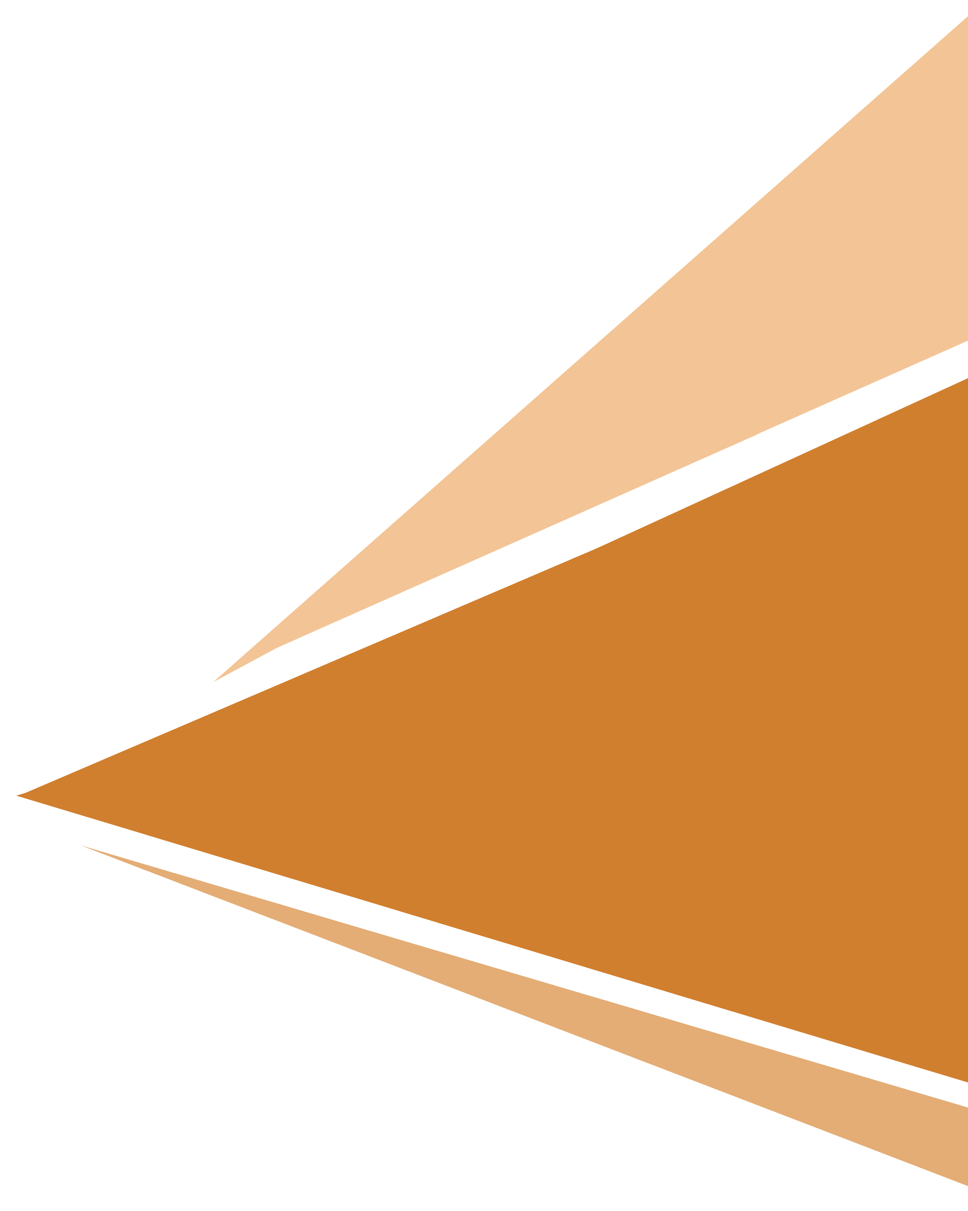 Shape