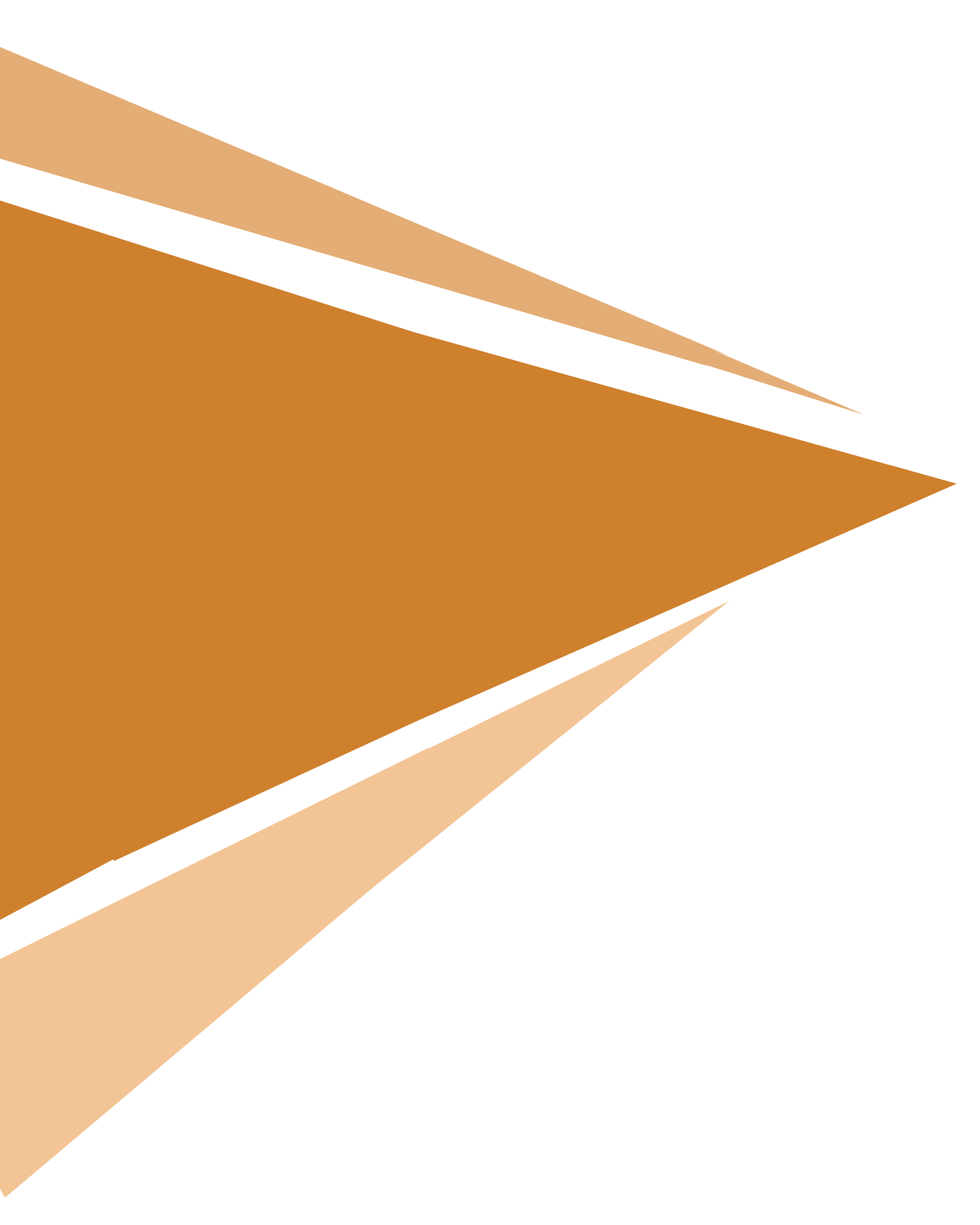 Shape